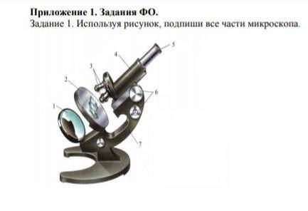 Используя рисунок подпиши все части микроскопа ​