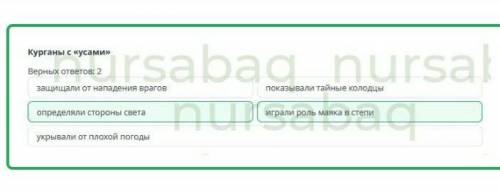 Как курганы с усами отражали общество саков?​