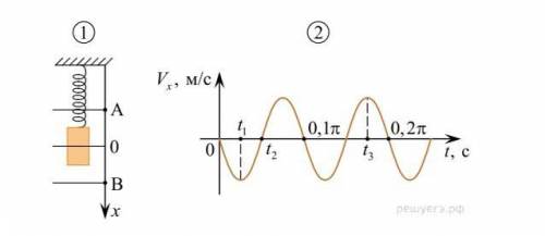 Груз совершает свободные вертикальные гармонические колебания на пружине жёсткостью 100 Н/м. На рису
