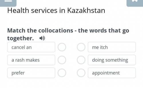 Health services in KazakhstanMatch the collections-she words that go together.​