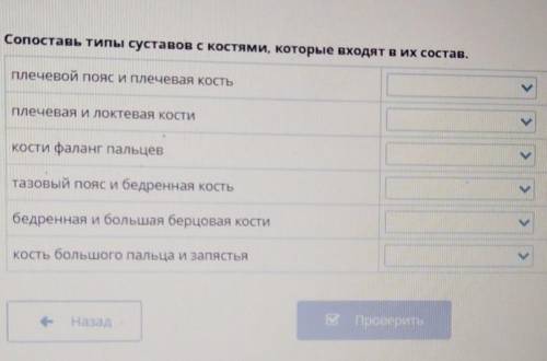 Сопоставь типы суставов с костями, которые входят в их состав. плечевой пояс и плечевая костьПлечева