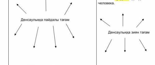 Заполни две диаграммы. В первую диаграмму запиши названия полезной еды для человека. Во вторую диагр