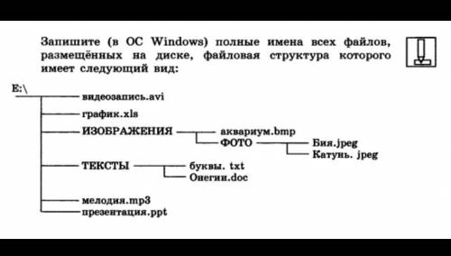 Информатика 7 класс ​