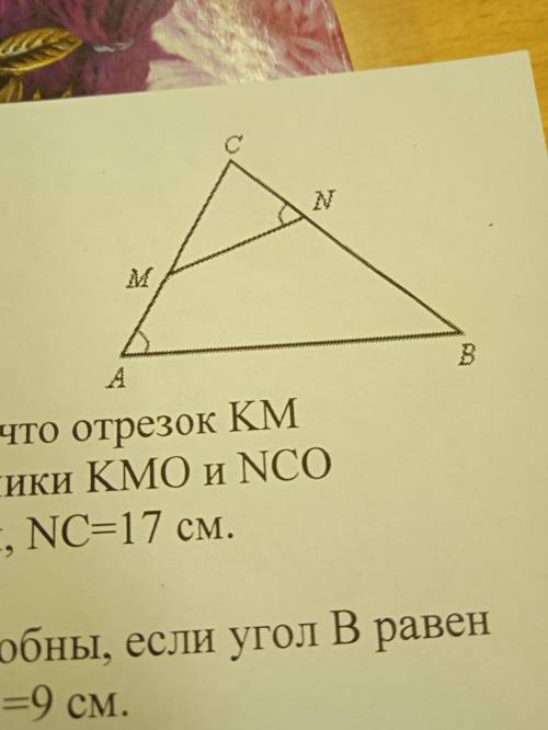 На рисунке A =N. Найти подобные треугольники на рисунке и доказать их подобие.