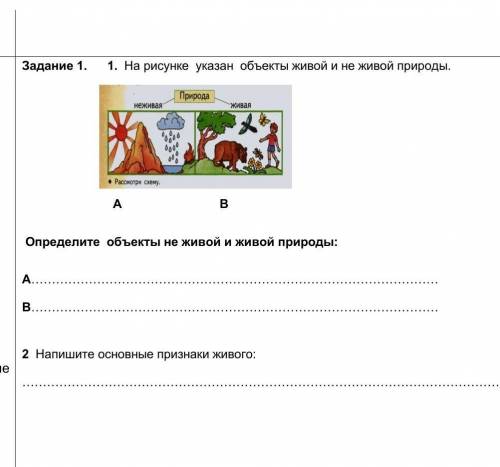 На рисунке указан объекты живой и не живой природы.​