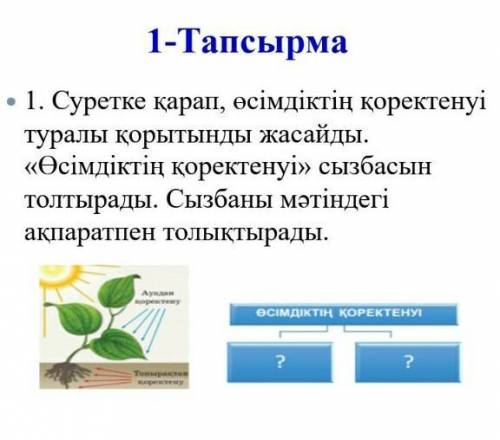 Суретке қарап өсімдіктің қоректенуі туралы қорытынды жаса​