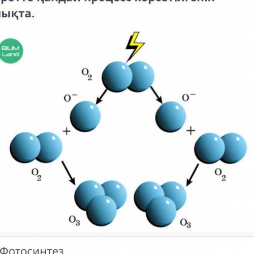 Табиғаттағы заттардың химиялық айналымы Суретте қандай процесс көрсетілгенін анықта. Фотосинтез Шіру