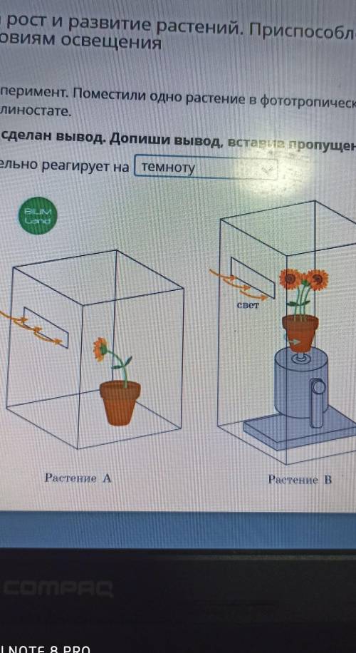 Провели следующий эксперимент поместили одно растения в фото тропическую камеру а,а другое в камеру