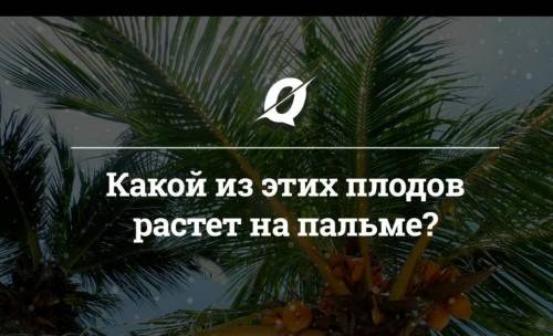 Какой из этих плодов растёт на пальме банан,инжир,ананас,финик