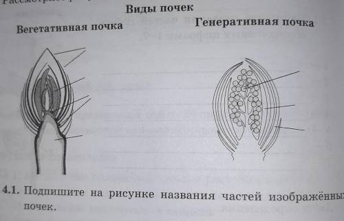 с заданиями по биологии!