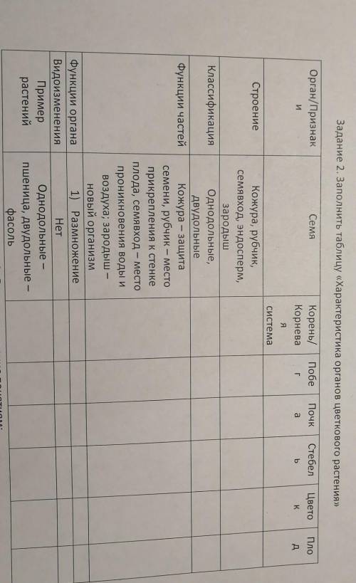 Заполнить таблицу Характеристика органов цветкового растения ​