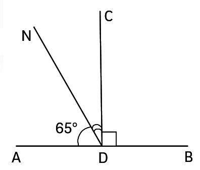 Вычислите величину угла CDN, изображенного на рисунке, если угол ADN = 65°, а угол CDB – прямой.