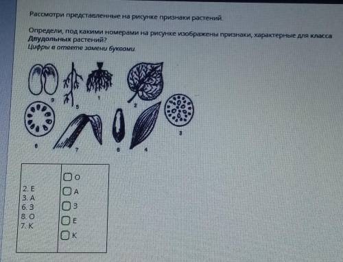 РАССМОТРИ ПРЕДСТАВЛЕНЫЕ НА РИСУНКЕ ПРИЗНАКИ РАСТЕНИЙБИОЛОГИЯ ​