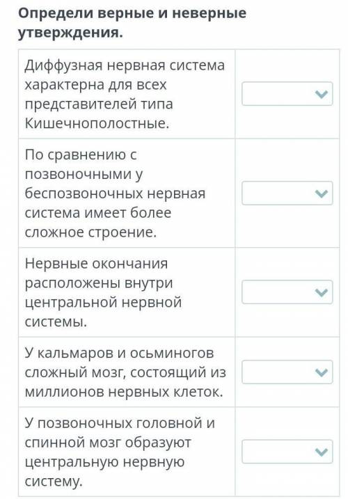 Сравнение типов нервной системы: диффузная, лестничная, узловая, трубчатая Определи верные и неверны