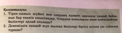 1)тірек қимыл жүйесі мен олардың қызметі арасында қандай байланыс бар екенін анықтаңдар. Олардың қоз