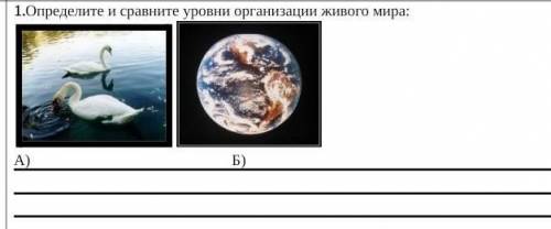 Определите и сравните уровни организации живого мира до завтра​