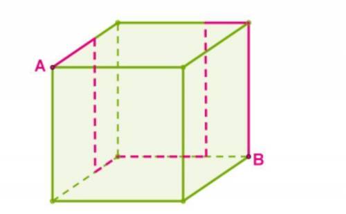 Муха ползает по поверхности куба вдоль красной линии от точки A к точке B Определи длину проделаной