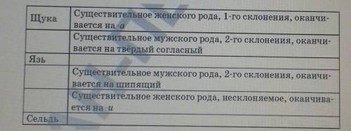 Щука Существительное женского рода, 1-го склонения, оканчи-вается на -аСуществительное мужского рода