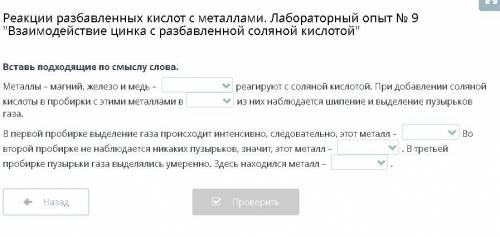 Реакции разбавленных кислот с металлами. Лабораторный опыт № 9 Взаимодействие цинка с разбавленной