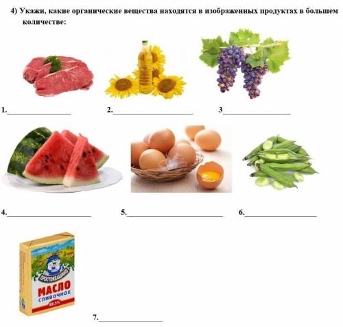 4) Укажи, какие органические вещества находятся в изображенных продуктах в большем количестве