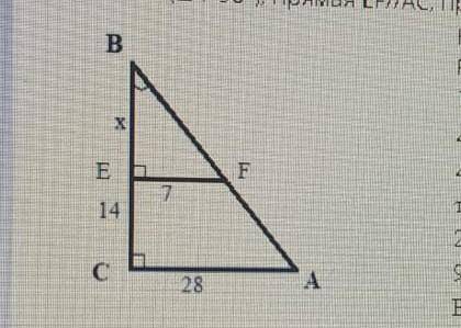 В Δ АВС (∠А=90°), прямая EF//AC, причем АС=28см, EF=7см, CE=14см.Найдите ВС