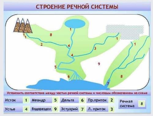 Установить соответствие между частью речной системы и числовым обозначением на схеме