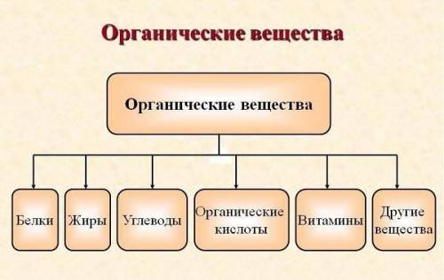 Какие продукты содержат органические вещества?