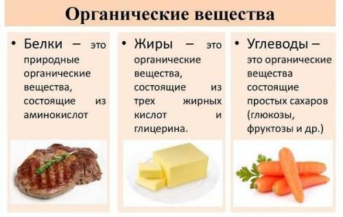 Какие продукты содержат органические вещества?