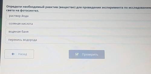 Определи необходимые реактор вещество для проведения эксперимента по исследованию влияния света на ф