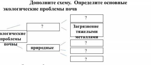 Дополните схему. Определите основные экологические проблемы почв