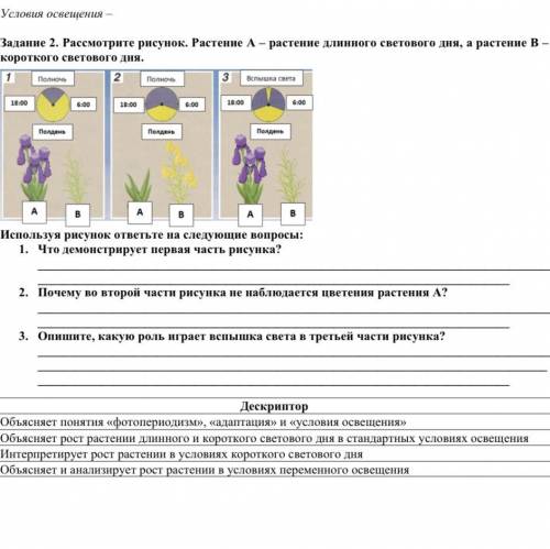 3. Опишите, какую роль играет вспышка света в третьей части рисунка?