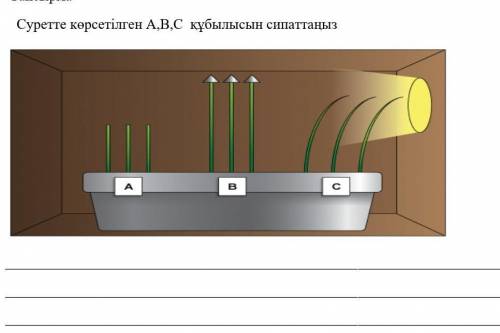 задание на казахском​