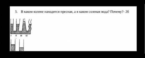 В каком колене находится пресная а в каком солёная вода? Почему