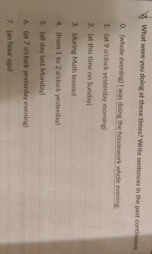 What were you doing at these times? Write sentences in the past continuous.0. (whole evening) I was