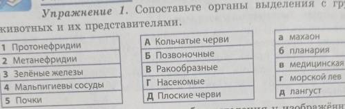 Упражнение 1. Сопоставьте органы выделения с группами животных и их представителями.а махаон1 Протон