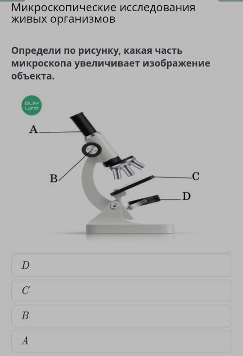 Подскажите какой ответ из этих правильный?​