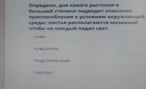 Определи, для какого растения в большей степени подходит описаниепри к условиям окружающейсреды: лис