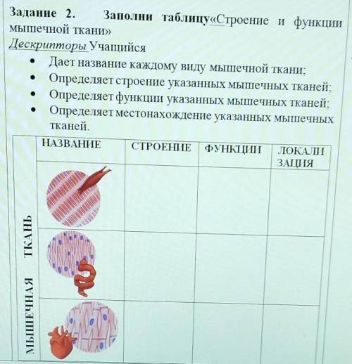 Задание 2. Заполни таблицу«Строение и функции мышечной ткани»Дескрипторы УчащийсяДает название каждо