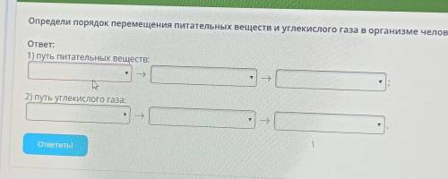 12. Путь веществ 123567891011121314151617Список заданийУсловие задания:Определи порядок перемещения