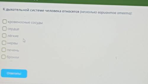 Условие задания: К дыхательной системе человека относятся (несколько вариантов oneema):кровеносные с