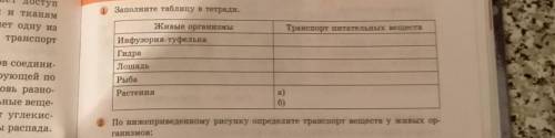 Живые организмы:инфузория-туфелька,гидра,лошадь,рыба,растения. Транспорт питательных веществ:​