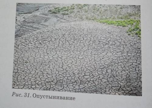 Задание 10. Используя рис. 31, напишите статью «Опустынивание: причины и последствия, меры защиты».​