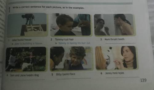 Write a correct sentence for each picture,as in the examples.