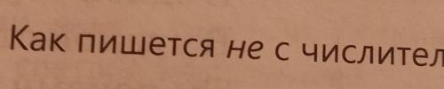 364Б. Как пишется не с числительными?​