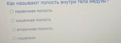 Как называется полость внутри тела медузы