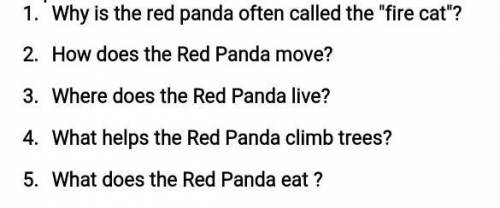 Why is the red panda often called the fire cat