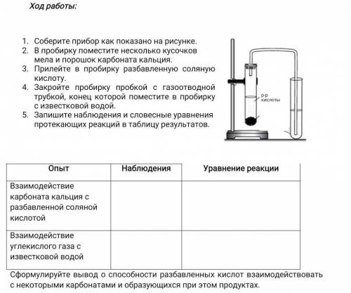 ПРАКТИЧЕСКАЯ РАБОТА № 3 Качественные реакции на углекислый газ до 4 часов​