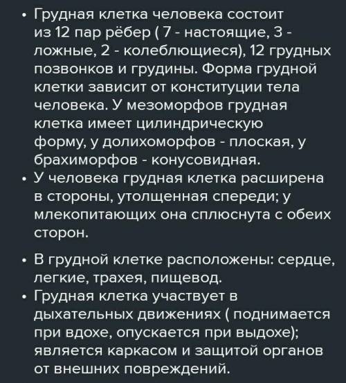 Найдите грудину, с которой связаны ребра, образующие грудную клетку. Опи- шите форму грудной клетки.