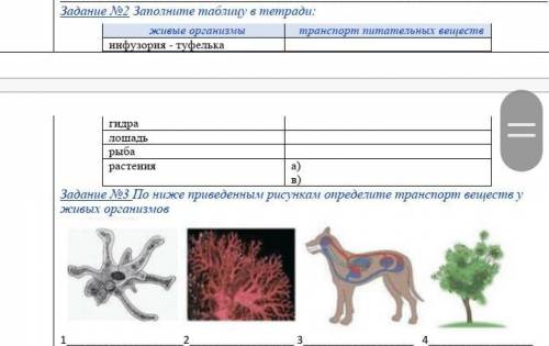 Определите транспорт веществ у организмов​