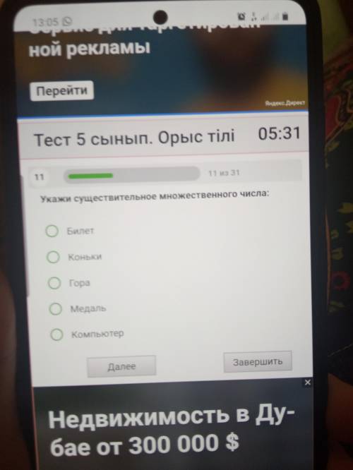 Укажи существительное множественного числа: Билет Коньки Гора Медаль Компьютер